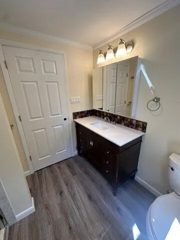 Bathroom with a dark wood vanity, new lights and wood-look flooring