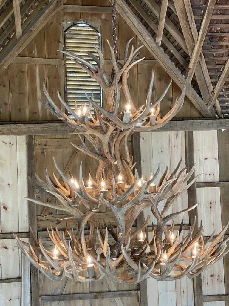 Large antler chandelier hung from the timber framing of a barn