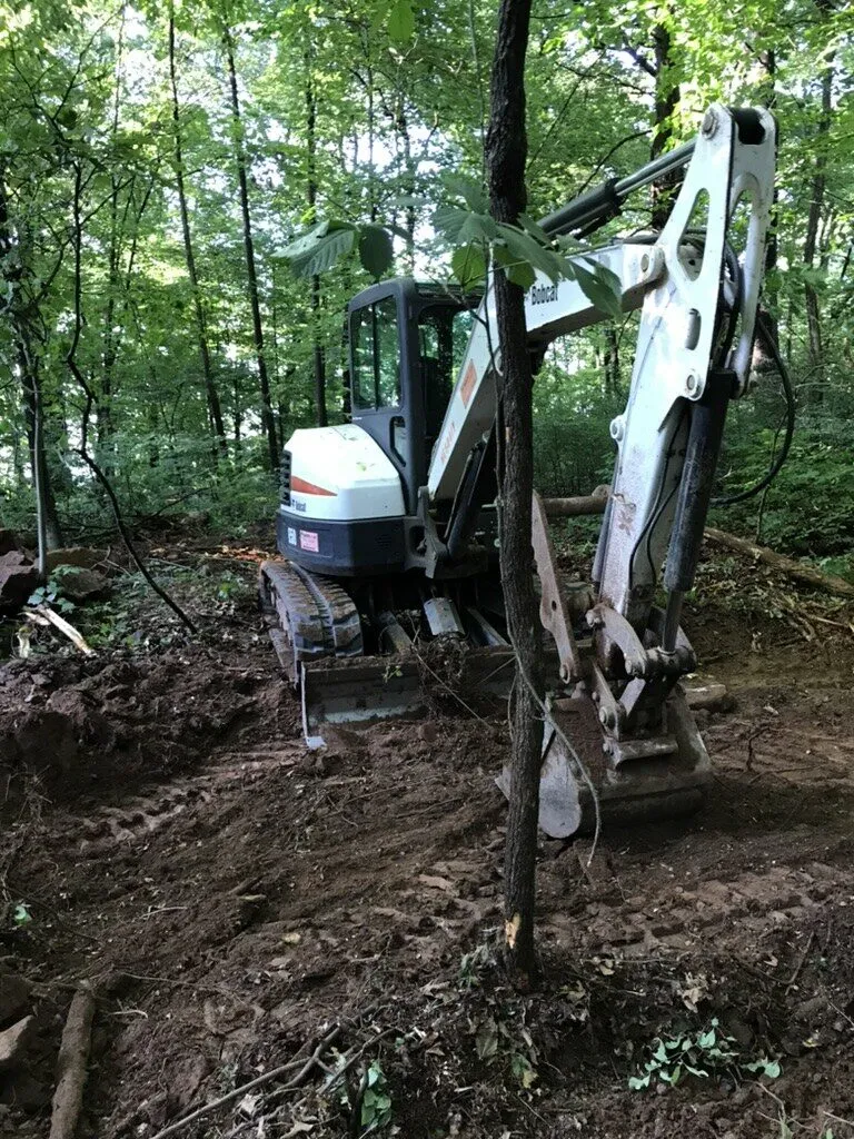 Mini excavator digging a trench through a wooded yard